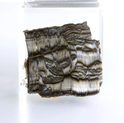 限定!アリゾナ・ピーターサイト（シルキーサーペンティン）のスライス　 　No2  　45×43mm