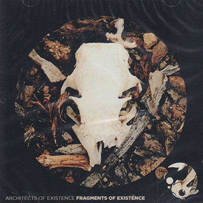 ARCHITECTS OF EXISTENCE/Fragments Of Existence (2026/3rd) (アーキテクツ・オブ・イグジステンス/Ireland,USA)