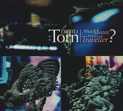 DAVID TORN/What Means Solid, Traveller?(Used CD) (1996/4th) (デヴィッド・トーン/USA)