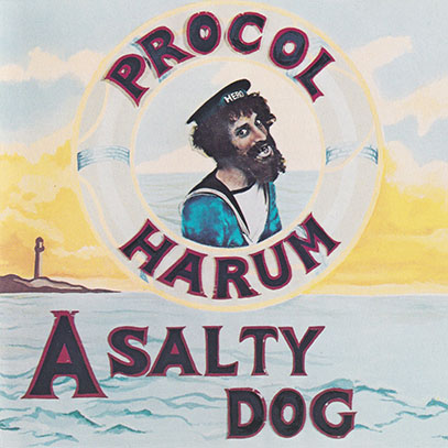 PROCOL HARUM 2LPプロコルハルム　青い影　 salty dog PROCOL HARUM 2LPプロコルハルム青い影salty dog