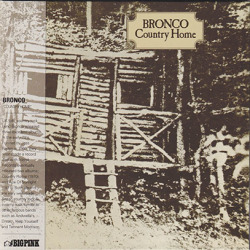 BRONCO/Country Home (1970/1st) (ブロンコ/UK)