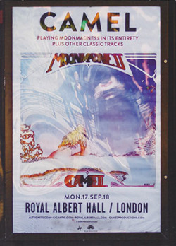 CAMEL/Live At The Royal Albert Hall(DVD) (2018/Live