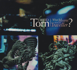 DAVID TORN/What Means Solid, Traveller?(Used CD) (1996/4th) (デヴィッド・トーン/USA)