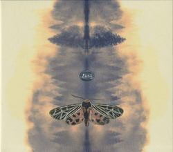 HANS-JOACHIM ROEDELIUS/TIM STORY/Lunz: 20th Anniversary Special Edition (2002/2nd) (ローデリウス＆テイム・ストーリー/German,USA)