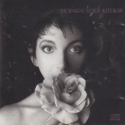 KATE BUSH/Sensual World(Used CD) (1989/6th) (ケイト