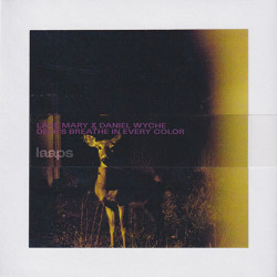 LAKE MARY & DANIEL WYCHE/Deer's Breathe In Every Color (2024/1st) (レイク・マリー＆ダニエル・ワイチ/USA)