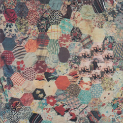 IL PAESE DEI BALOCCHI/Same (1972/only) (イル・パエーゼ・ディ