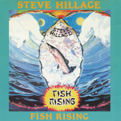 STEVE HILLAGE/Fish Rising(Used CD) (1975/1st) (スティーヴ