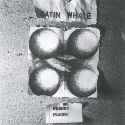SATIN WHALE/Desert Places (1974/1st) (サテン・ホエール/German)