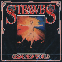 【中古】 Strawbs ストローブス / Best Of Amazon.co.jp: ストローブス・ファースト+3(紙ジャケット仕様