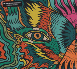 TRONOSONIC EXPERIENCE/The Shadow Vol.1 (2022/3rd Part1) (トロノソニック・エクスペリエンス/Norway)