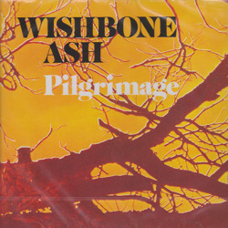 WISHBONE ASH/Pilgrimage (1971/2nd) (ウイッシュボーン・アッシュ/UK)