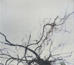 YUTAKA HIROSE/Nova+4(2CD) (1986/only) (広瀬豊/Japan)