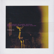 LAKE MARY & DANIEL WYCHE/Deer's Breathe In Every Color (2024/1st) (レイク・マリー＆ダニエル・ワイチ/USA)