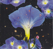 SARAH LOUISE/Nighttime Birds And Morning Stars (2019/4th) (サラ・ルイーズ/USA)