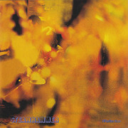 STEAMHAMMER/Reflection(Used CD) (1969/1st) (スティームハマー/UK)