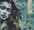 IVA BITTOVA/Entwine/Propletam (2014) (イヴァ・ビトヴァ/Slovak)