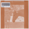 J.WLSN & LIAM KEENAN/Country/The Country (2026/1st) (J.ウィルソン＆リアム・ケーナン/Australia)