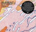 LARAAJI/Day Of Radiance: Ambient 3 (1980/3rd) (ララージ/USA)