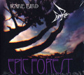 RARE BIRD/Epic Forest (1972/3rd) (レア・バード/UK)