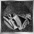 WILLIAM BASINSKI & JANEK SCHAEFER/"...On Reflection" (2022) (ウィリアム・バシンスキー＆ヤネク・シェーファー/USA,UK)