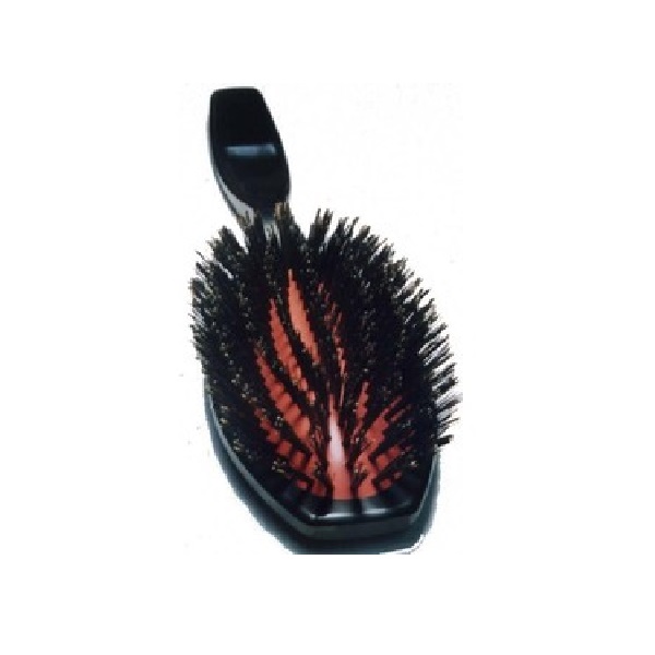 ＜国産＞GROOMER獣毛ブラシ(猪毛：ハード)柄付　NO.２１３　送料－＜Ａ＞