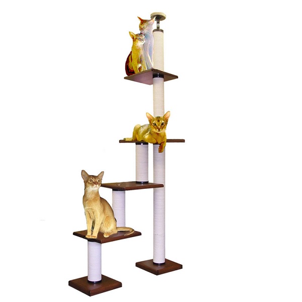 【キャットタワーのパイオニア】階段キティＬＢ３段－ＤＸ　　[天井高2m25cm～2m45cmまで対応]　代引き不可商品【おすすめ】【頑丈】【ブリーダー推奨品】