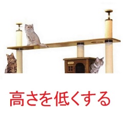【ブリッジタワーの高さ変更】　キャットタワーの高さを低くする　（天井高が２３００ｍｍ以下の場合）★必ずキャットタワー本体のご注文と一緒にお願いいたします。