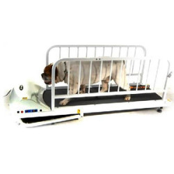 【犬用トレッドミル】　ペットラン　PR-720E 送料-<C>　