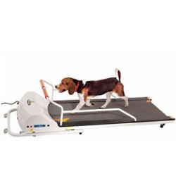 【犬用トレッドミル】　ペットラン　PR-720F　送料-<C>