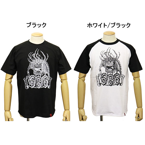 666正規取扱店THREEWOOD