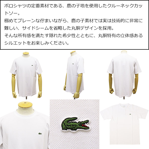 LACOSTE(ラコステ)正規取扱店THREEWOOD