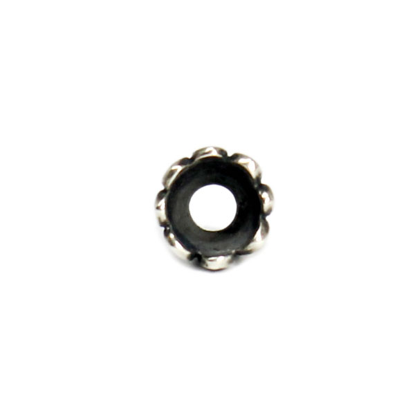 vasser-vsbd401-sv-s