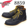redwing-8859.jpg