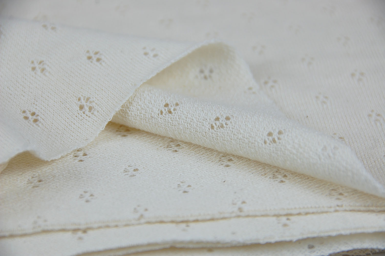 アイレット　JQ裏毛