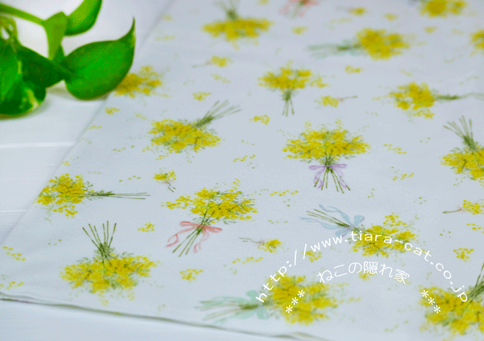 ミモザ　オフ白　スムース