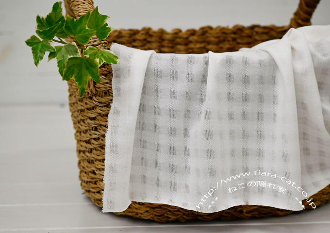 シフォンチェック