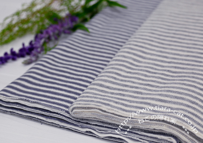 ジグザグBD　接結