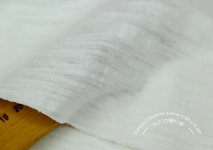 ゼブラスラブ　天竺