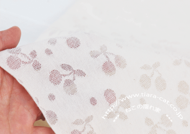 チェリーレースJQ