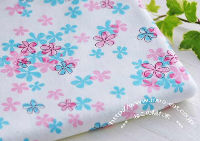 トゥインクル　Wマリー