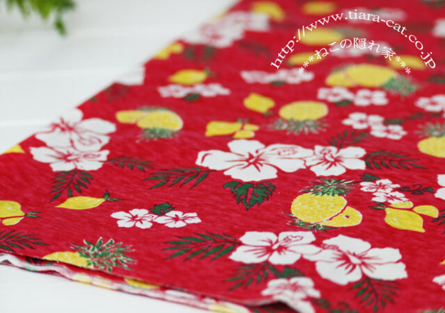 アロハ　レッド　ムラ糸25/天竺