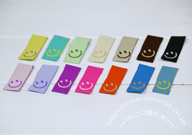 カラースマイル　タグ