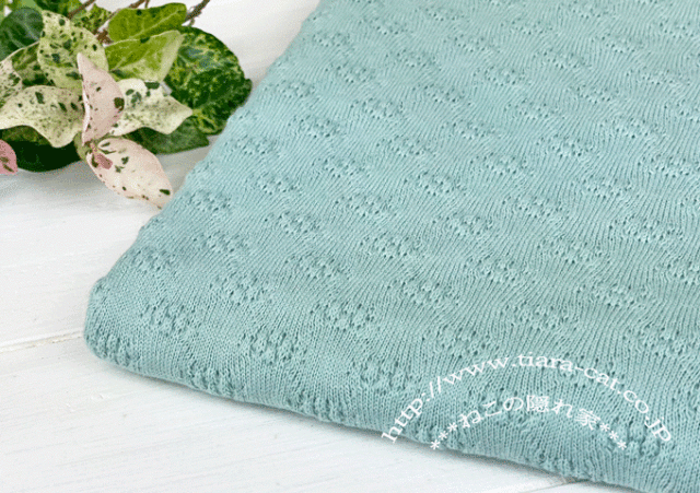 プチフルール　アッシュミント