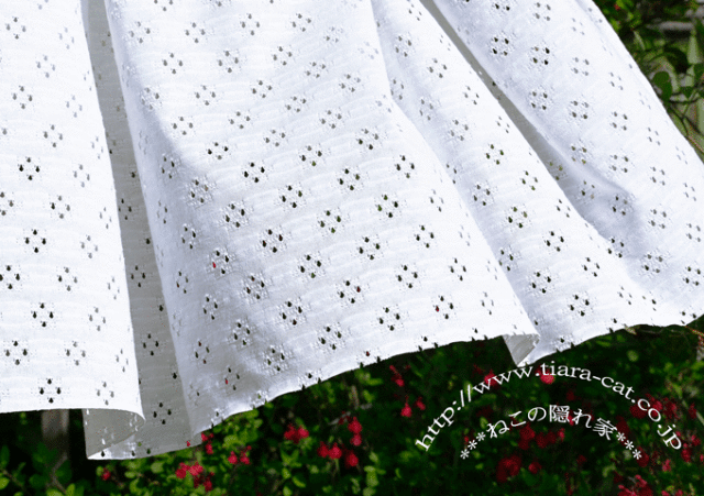 ソルメッシュ　オフ