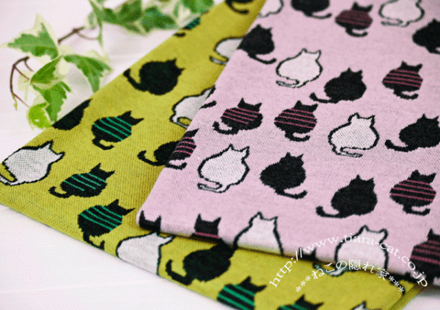 にゃんこJQ　×1ｍ