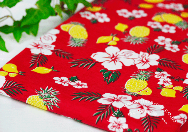 アロハ 　レッド　40/2天竺