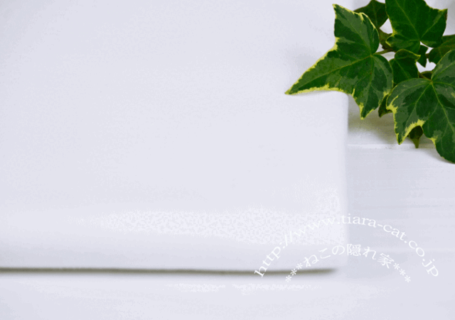 オフ白　30スムース