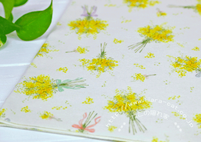 ミモザ　生成り　スムース