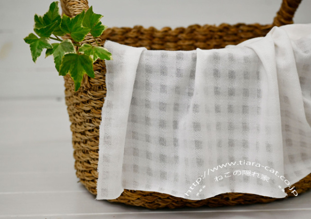 シフォンチェック